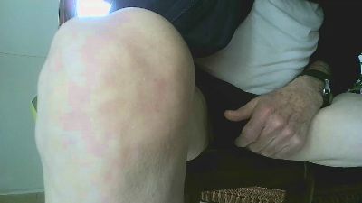 rafbear48 webcam model stream image