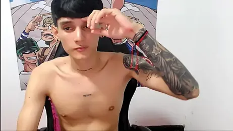 SWT2003 webcam model stream image