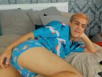 dustynebula webcam model stream image