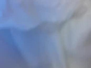 convictedfelonpornstar webcam chaturbate model stream image
