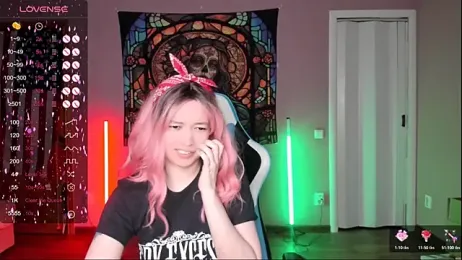 Project_hisoka webcam model stream image