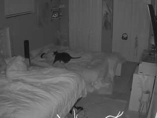 voyeurcam-house-charleys-room webcam model stream image