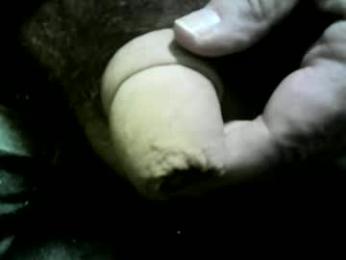 felicaste webcam model stream image