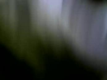 felicaste webcam model stream image