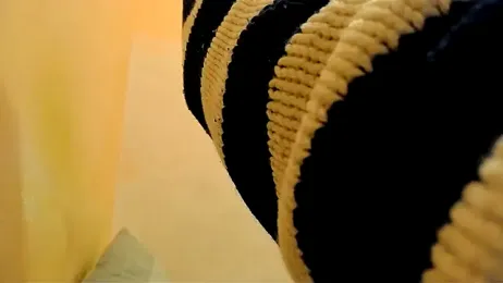 gae89tano webcam model stream image