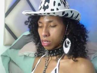 venus-033 webcam model stream image