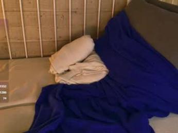 warmwhisp webcam model stream image