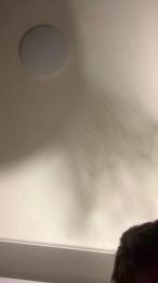 ERMEIOPOMPINO webcam model stream image