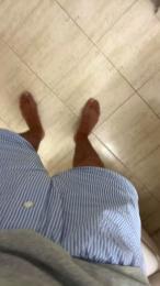 Moskita1 webcam model stream image