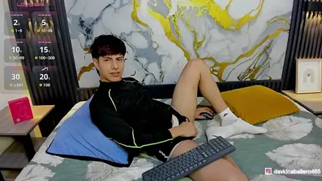 Estiv18_ webcam model stream image