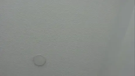 connor_and_angel webcam model stream image