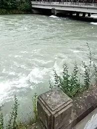 sengguangyuanlv webcam model stream image