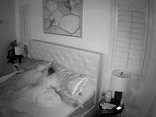 voyeurcam-whitneyoc-01 webcam model stream image