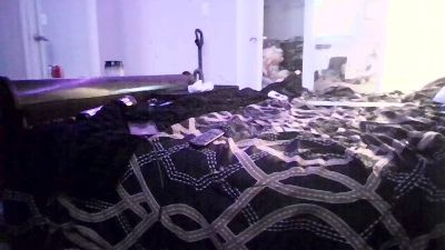 SoberJudge26 webcam model stream image