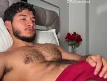_reiner webcam model stream image