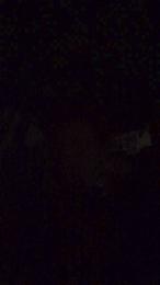 latinomulat1 webcam model stream image