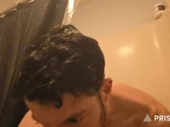 hardselfone webcam model stream image
