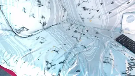 Q_T_pie webcam model stream image