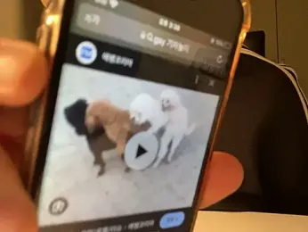 dkskdksk12 webcam stripchat model stream image