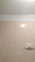 Selmer666 webcam model stream image