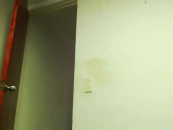 dualdoflow webcam model stream image