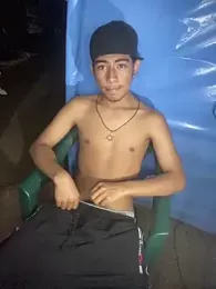 Mellvinn webcam model stream image