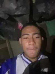 Mellvinn webcam model stream image