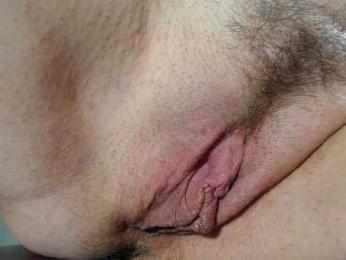 Xollan webcam model stream image