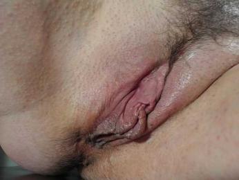 Xollan webcam model stream image