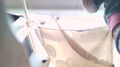 Machobearhot webcam model stream image