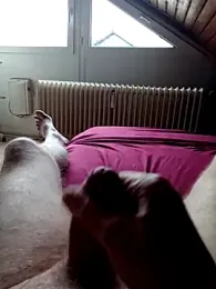 ImperlPerverso59 webcam model stream image