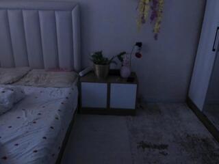 Shaya Asian webcam model stream image