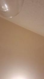 Laminate36 webcam model stream image
