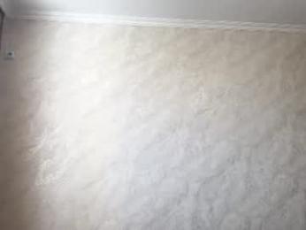 stephanieseidt webcam model stream image