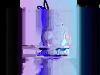 sweetsarafoxxx webcam chaturbate model stream image