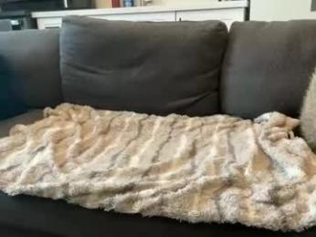 chadtitan webcam model stream image