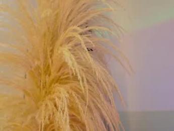 liiamluna webcam chaturbate model stream image