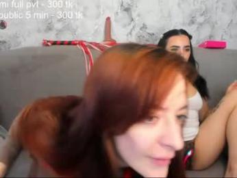 mary_yolo webcam model stream image