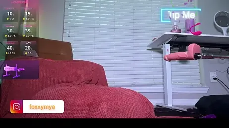 tsmyafoxx webcam stripchat model stream image