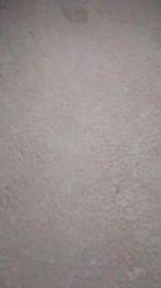 ccarla76w webcam model stream image