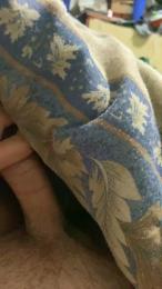 Speed4244c webcam model stream image