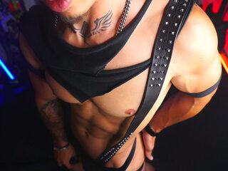 Matius Stewart webcam model stream image
