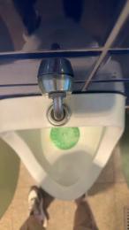 segredo1980 webcam model stream image