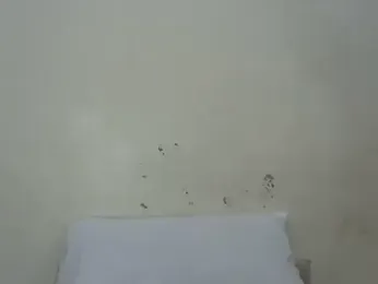 Rasta_tattooed webcam model stream image