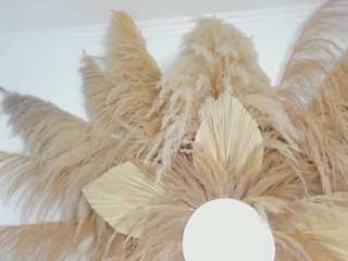 shakebigass webcam model stream image