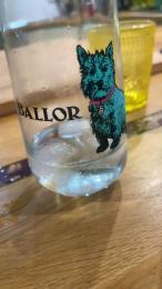 MaiaLaNinfo webcam cam4 model stream image