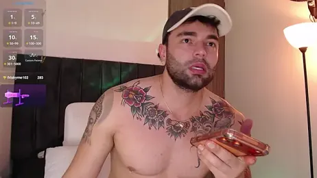 Diegoarctic webcam model stream image