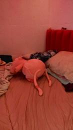 KinkyNikyxxx webcam model stream image