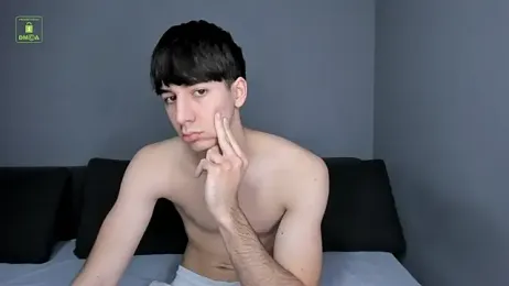 Quentin_Blake webcam model stream image