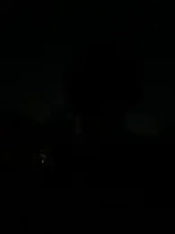 chippopo webcam model stream image